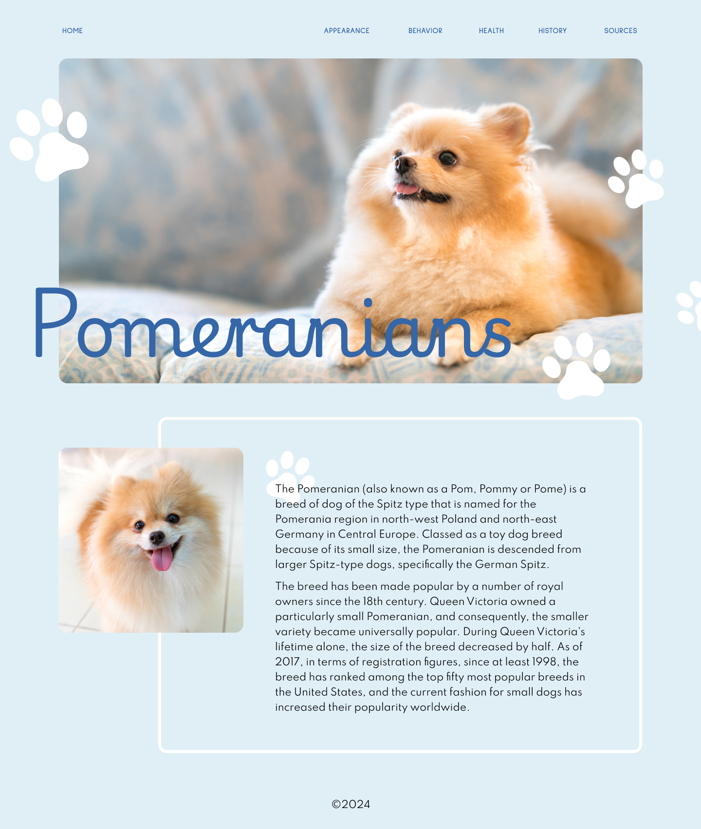 Pomeranians microsite mockup B desktop